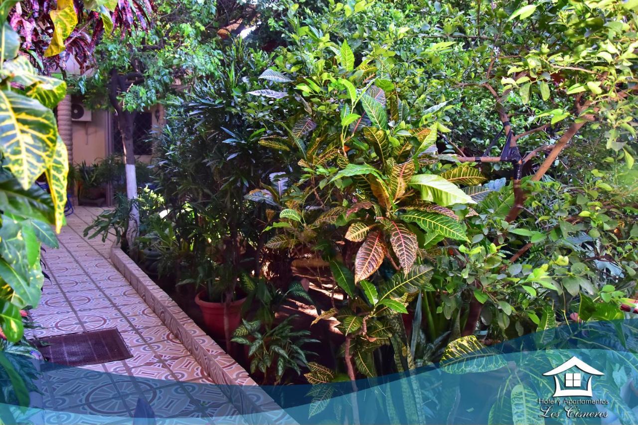 Hotel Y Apartments Los Cisneros Managua Exterior photo